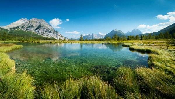 Evasion Culinaires : Dégustez des Saveurs Inoubliables à Chaque Escale de Croisière