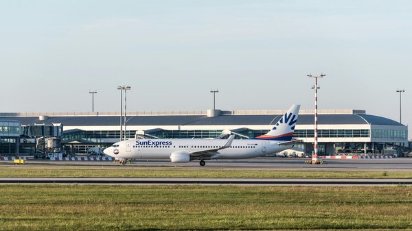 Festin en Plein Air : Recettes Savoureuses pour une Nuit de Camping Mémorable