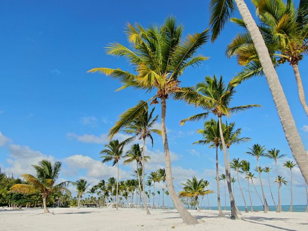 Évasions estivales en famille au club med à la montagne